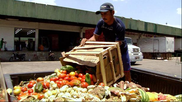 O programa Caminhos da Reportagem, da TV Brasil, aborda o desperdício na cadeia de produção de alimentos 