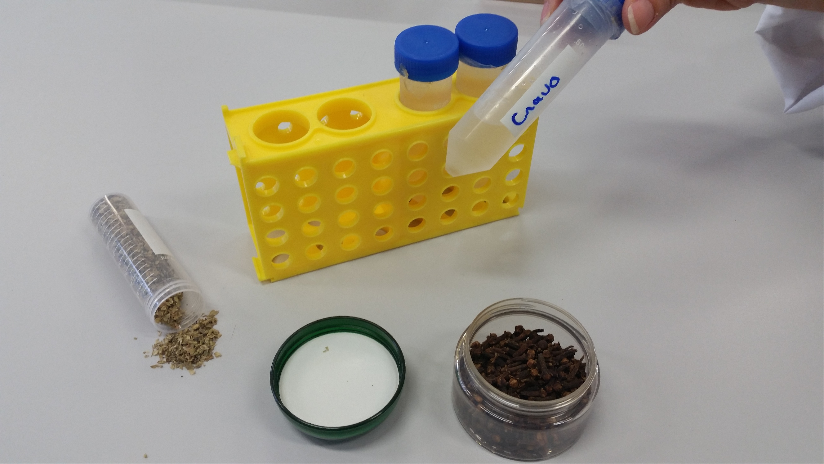 PUC/MG desenvolve pesquisa para combate ao Aedes aegypti