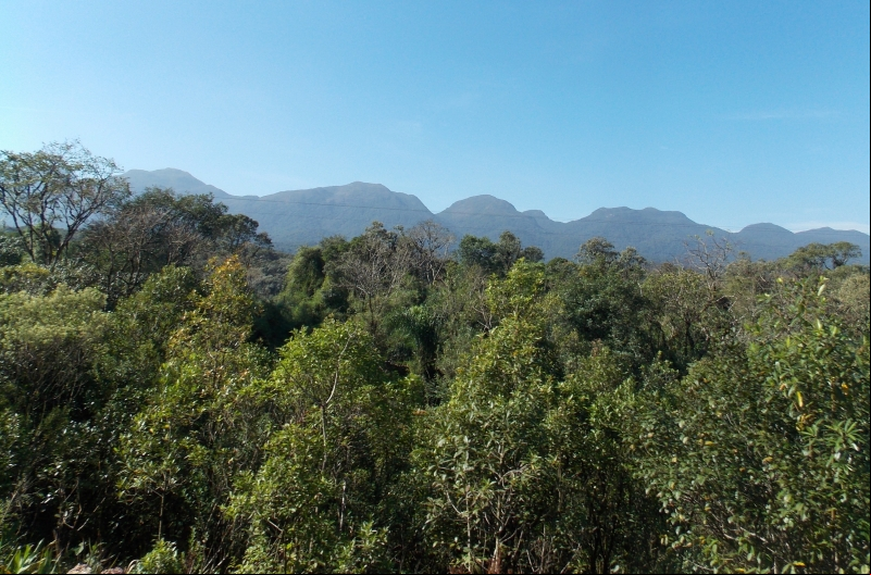 Mata Atlântica