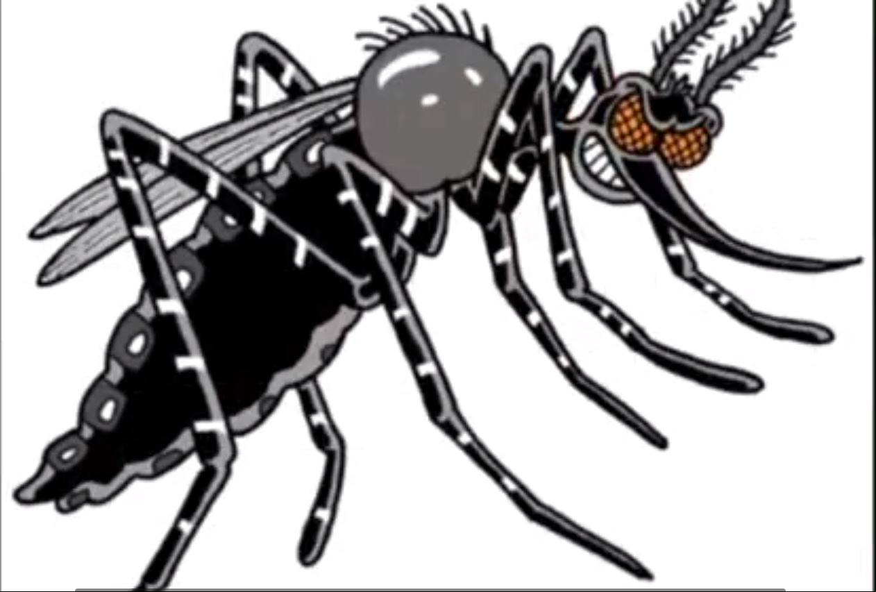 Estudantes do Instituto Federal de Goiás produziram um vídeo em cordel com orientações sobre o combate ao Aedes aegypti
