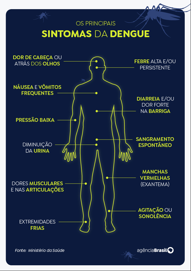 Os principais sintomas da dengue. Foto: Arte/EBC